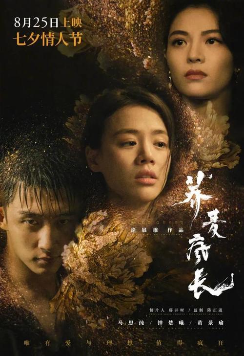 办理坦帕大学学位证